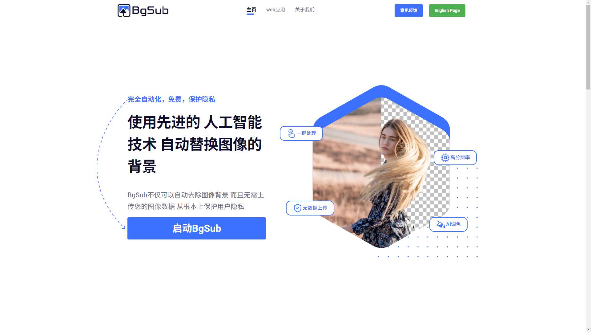 BgSub